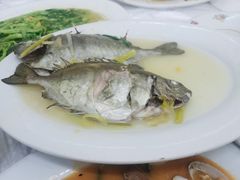 -老三鱼仔店
