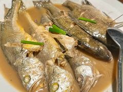 家烧胶东杂鱼-KŌNG胶东小馆·酒馆(华熙店)