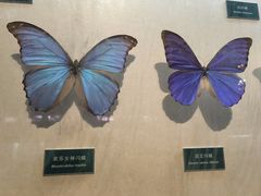 -陕西自然博物馆