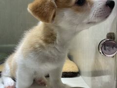 -乐宠宠物店(世纪金源店)