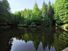 -山王坪喀斯特国家生态公园