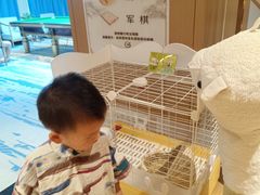 -御海8号温泉酒店