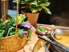 -一朵菌·野生菌探索家火锅(南亚店)