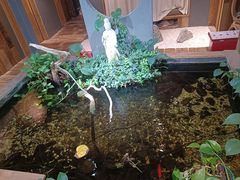 -邈墨茶馆(大兜路1号店)