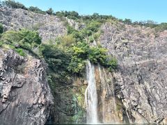 -上海辰山植物园
