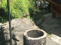 -苍山感通索道