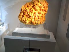 -中国地质大学逸夫博物馆
