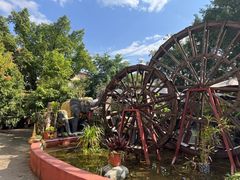 -品德宏·孔雀宴的发源地(金塔园店)