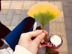 -弘医堂中医院