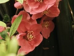 -首都医科大学宣武医院
