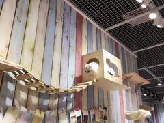 -小时光咖啡馆(开森度假森林店)