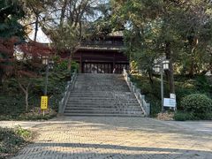 -伯先公园