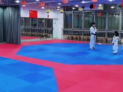 -陈中跆拳道(中关村馆)