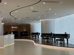 -雅马哈乐器专卖店(广州旗舰店)