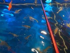 -钳真多钓虾馆·小龙虾海鲜烧烤(九六广场店)
