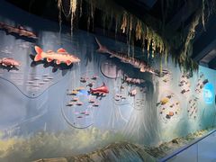 -中国湿地博物馆