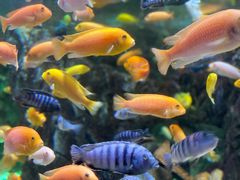 -太平洋海底世界