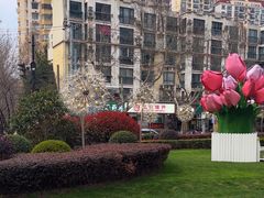 -中海环宇荟