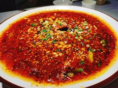-陶苏·品味融合川菜(龙湖源著天街店)