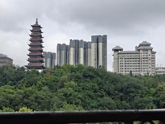 -巴倒烫陆派火锅山庄(南山总店)