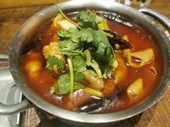 -铁公鸡·四川料理(天环广场店)