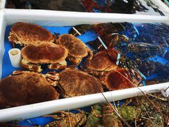 -南沙十九涌渔人码头-南门