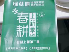 -绿草地·湘菜(7mall店)