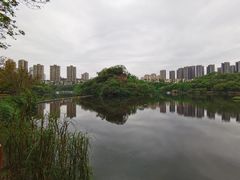 -重庆彩云湖湿地公园