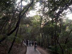 -紫金山山顶公园