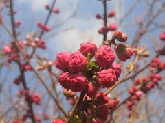 -北运河水利风景区