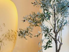 -伊斯坦布尔土耳其清真咖啡餐厅