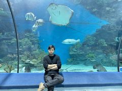 -福州罗源湾海洋世界旅游区