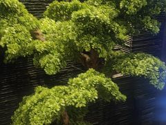 -上足·影院足道·SPA(红岭店)