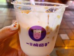 -一只酸奶牛(八一路店)