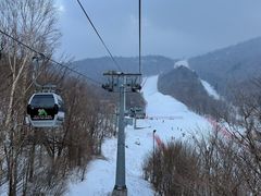 -亚布力新体委滑雪场