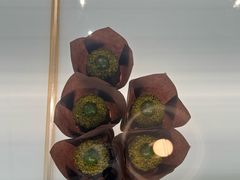 -发酵食堂(屏风街店)
