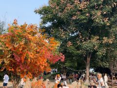 -HERRE·FARM 赫尔露营农场·团建聚会包场