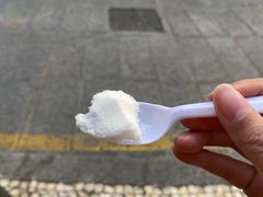 -洪馨椰子
