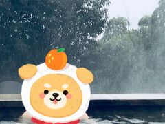 -天目湖涵田半山温泉