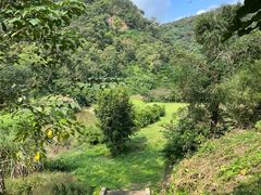 -南宁良凤江国家森林公园