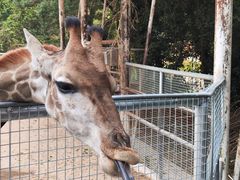-泉州海丝野生动物世界