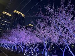 -西北湖绿化广场