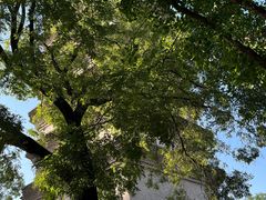 -西安大兴善寺