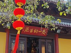 -灵谷景区