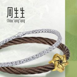-周生生Chow Sang Sang(先天下店)