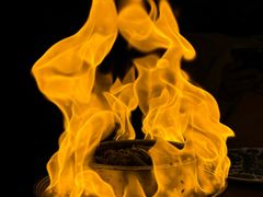 -海派悦庭·海胆烧麦·新融合菜(凯德广场店)