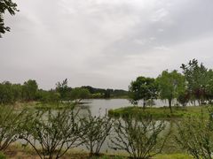 -东郊湿地公园