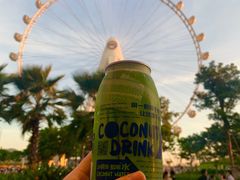 -蔻蔻椰·鲜萃椰子水(欢乐港湾店)