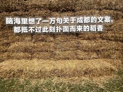 -秀丽东方