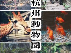 -杭州动物园
